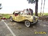 Tom's MG-TF