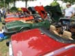 Pensacola British Car Show 2009
