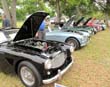 Pensacola British Car Show 2009