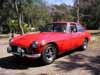 Tom's MGB-GT