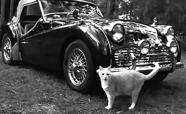 Triumph TR3