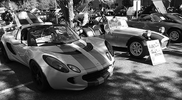 Lotus