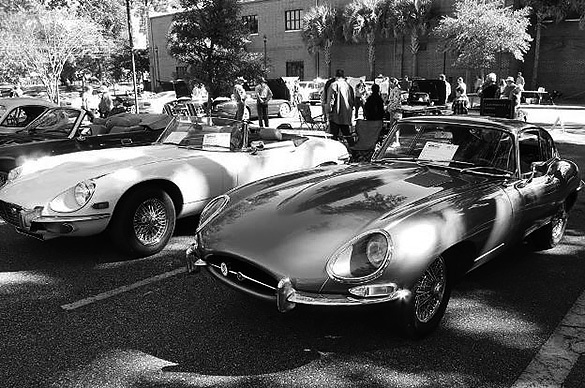 Jaguar