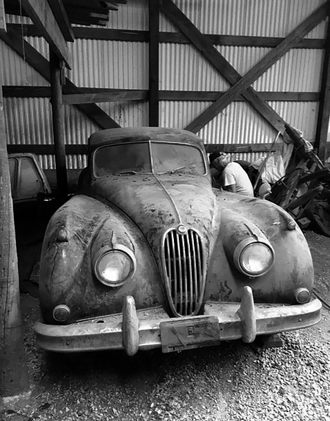 Healey