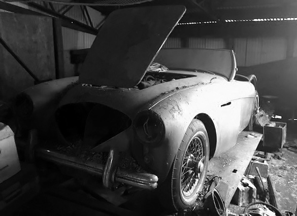 Healey