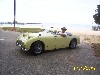 Tom's Bugeye